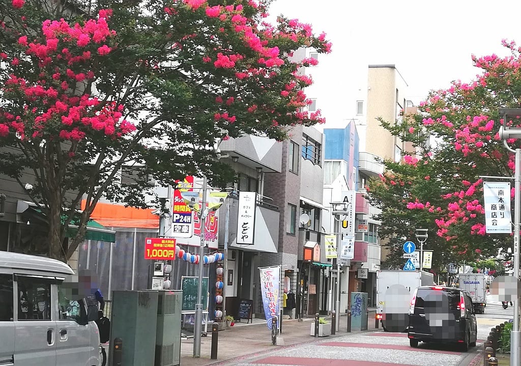 南本町通り百日紅