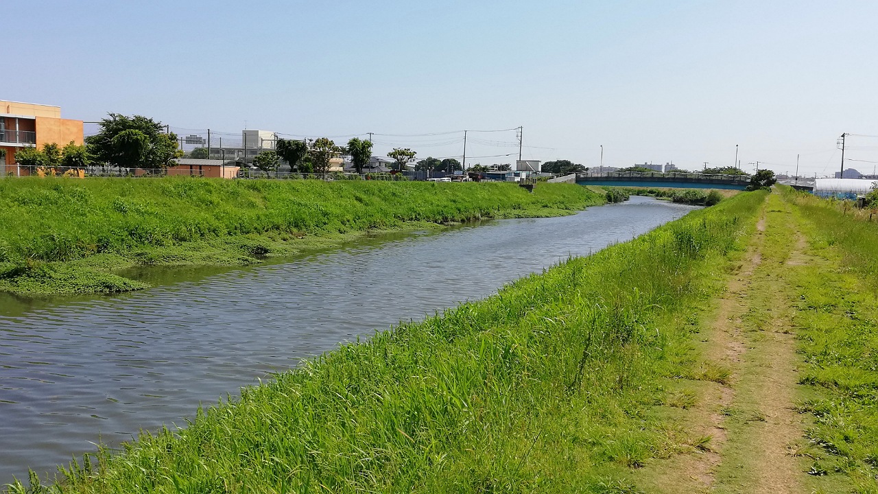 小出川沿い