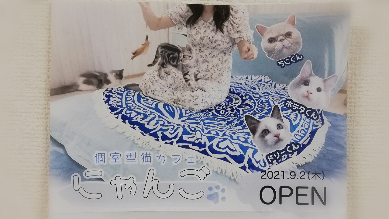 猫カフェにゃんごオープン