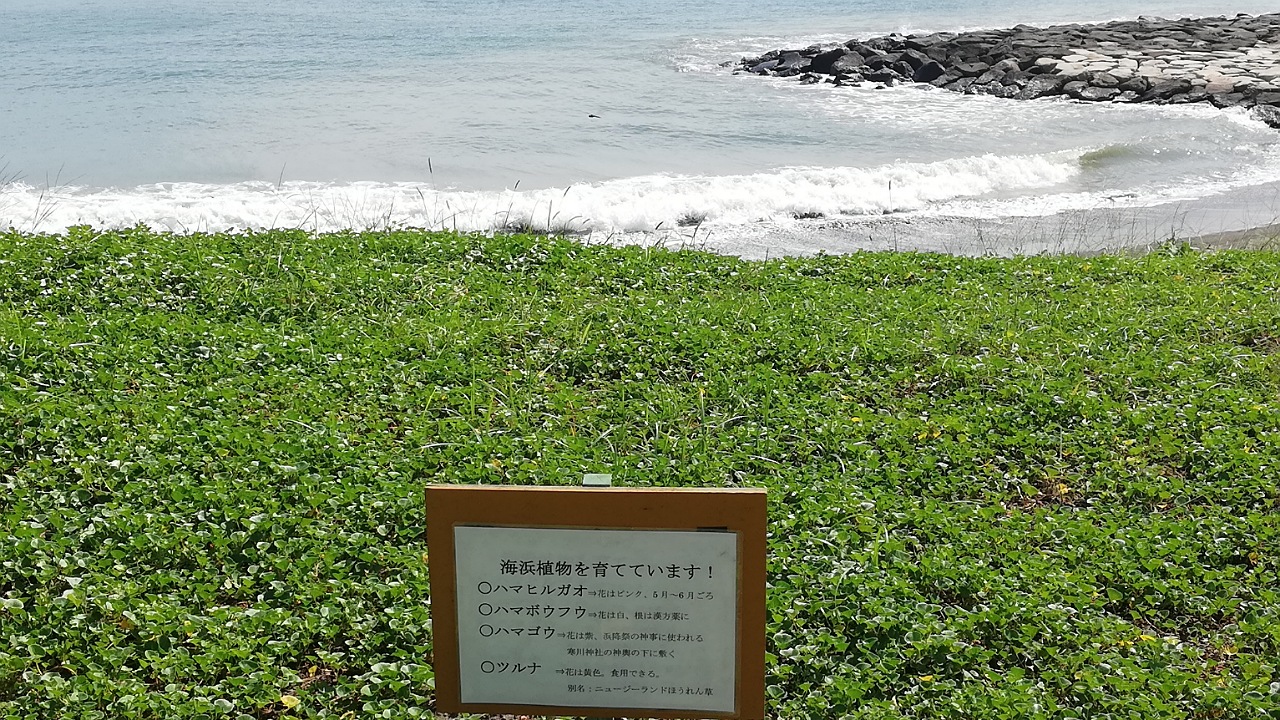 柳島海岸