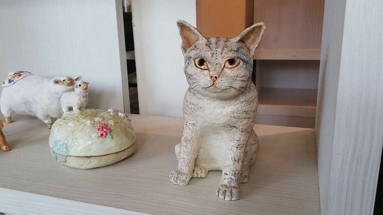 猫展