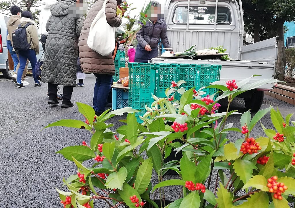 海辺の朝市202112