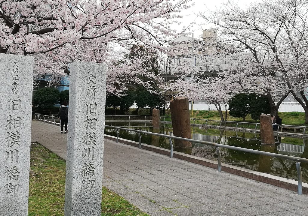 Sagamigawa