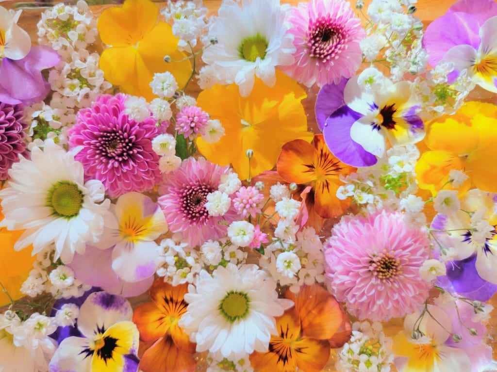 花のフォトスポット