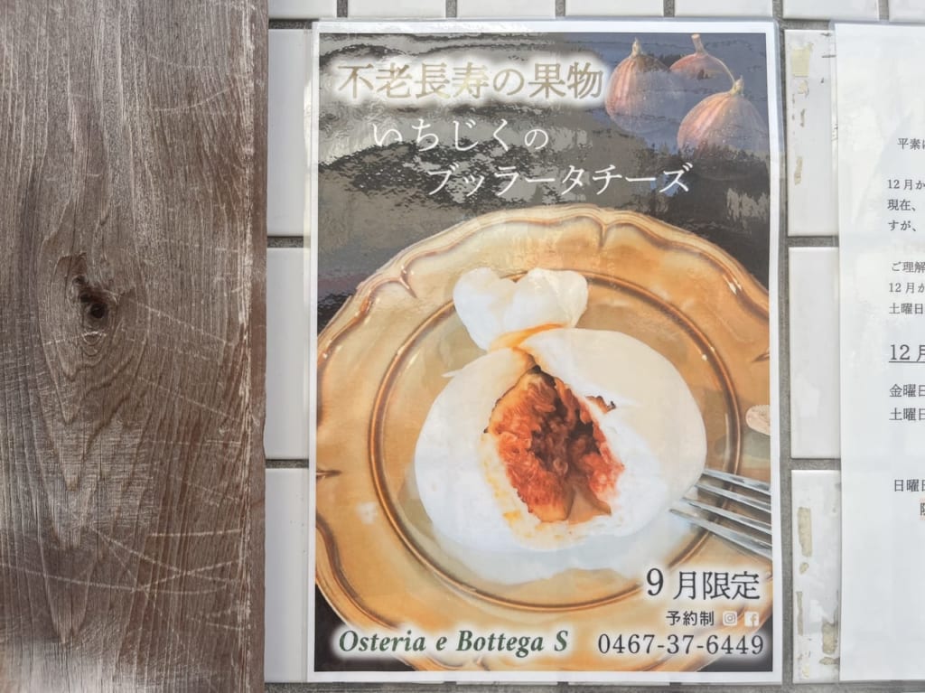 チラシ