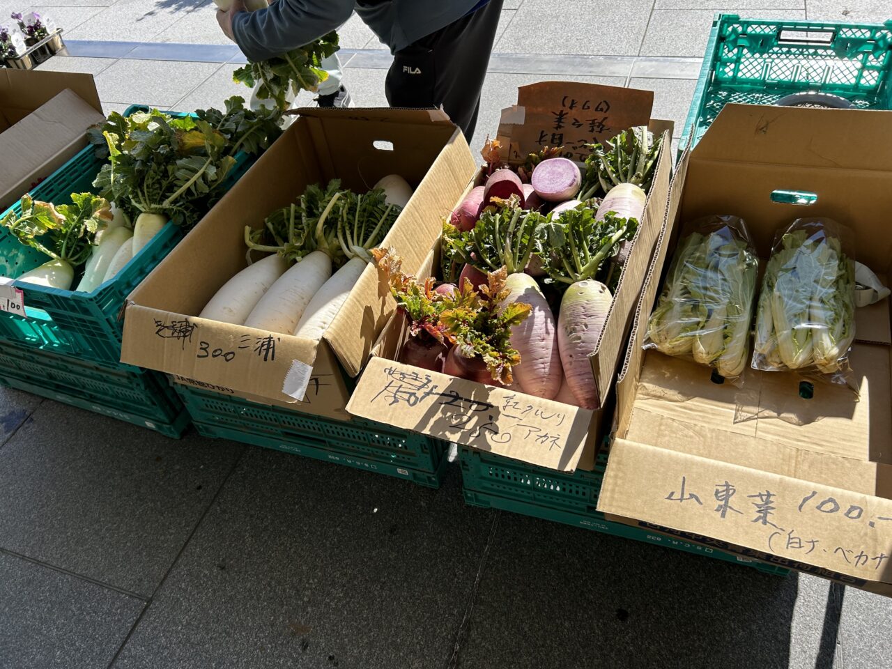 茅ヶ崎市役所にて野菜の直売会
