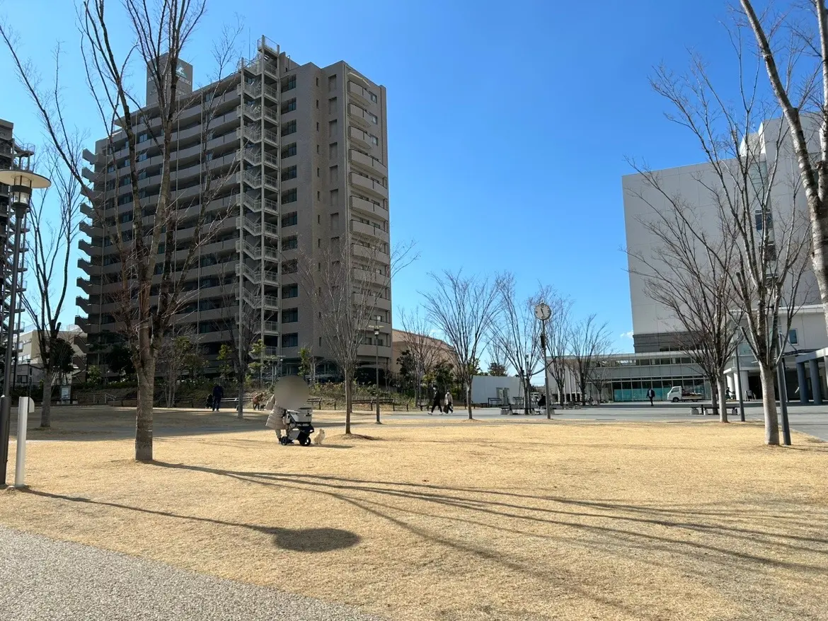 茅ヶ崎市役所前芝生広場