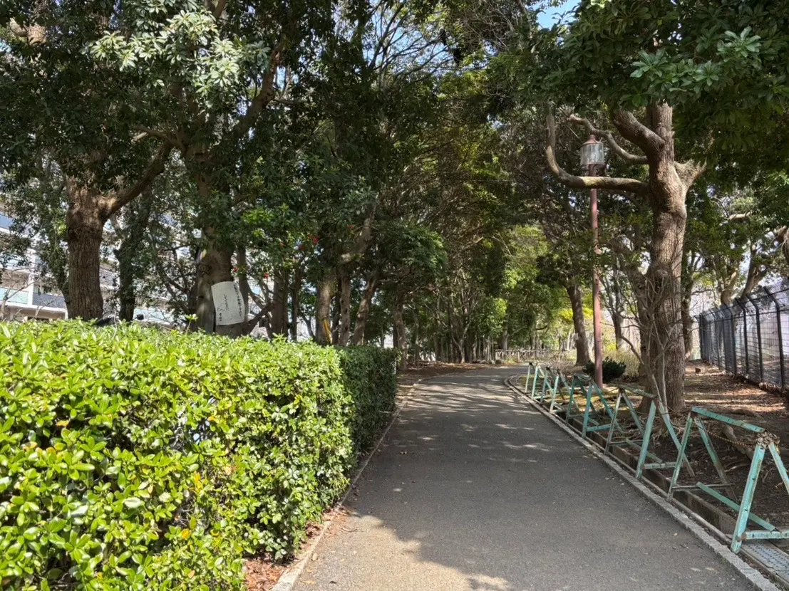 第一カッターきいろ公園（茅ヶ崎中央公園）