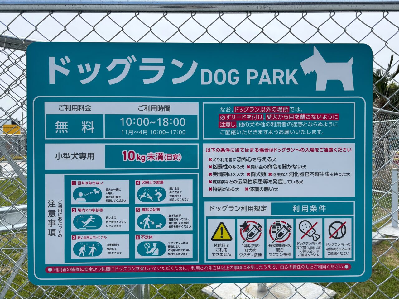 道の駅湘南ちがさきドッグラン