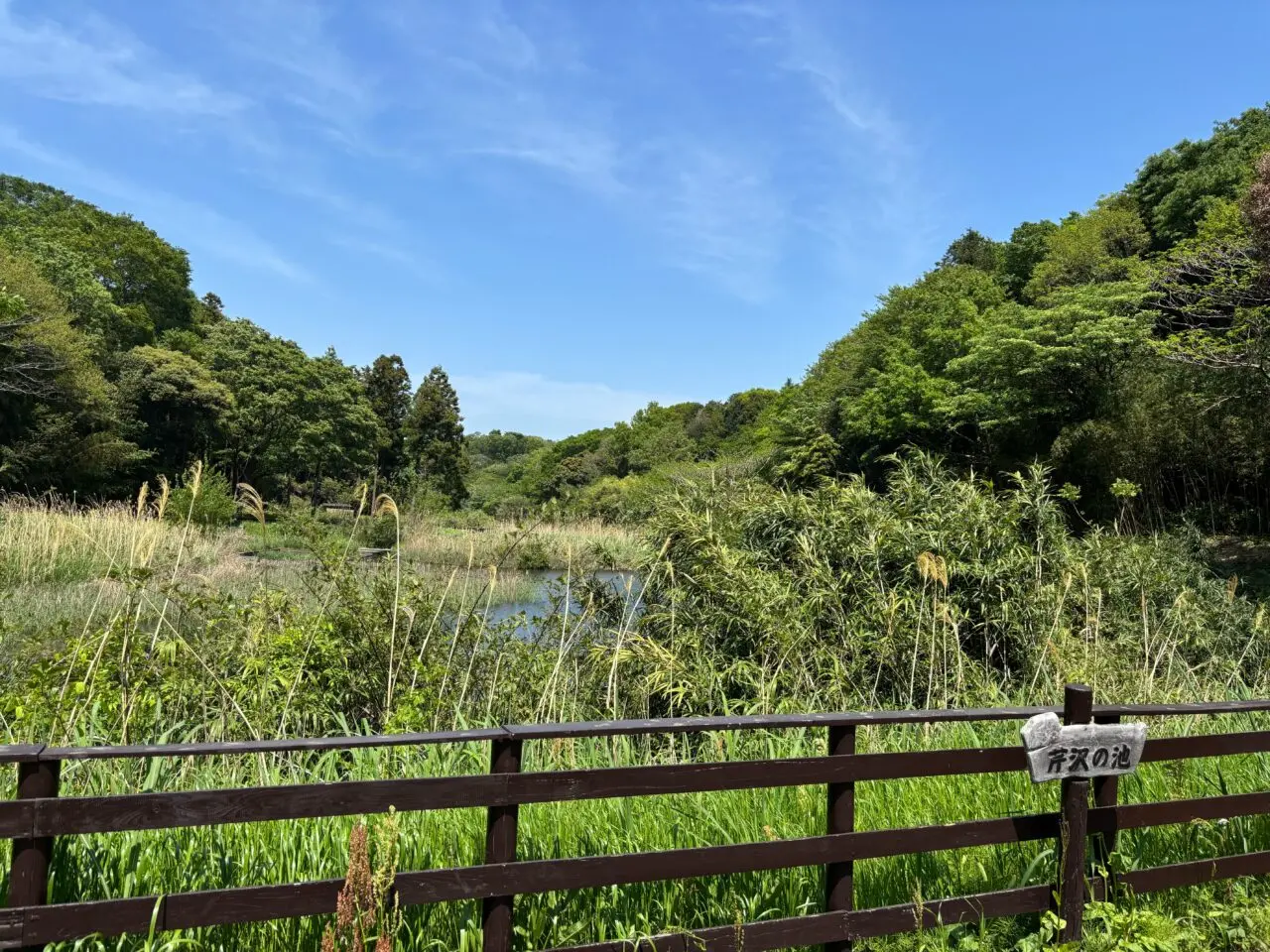神奈川県立茅ケ崎里山公園