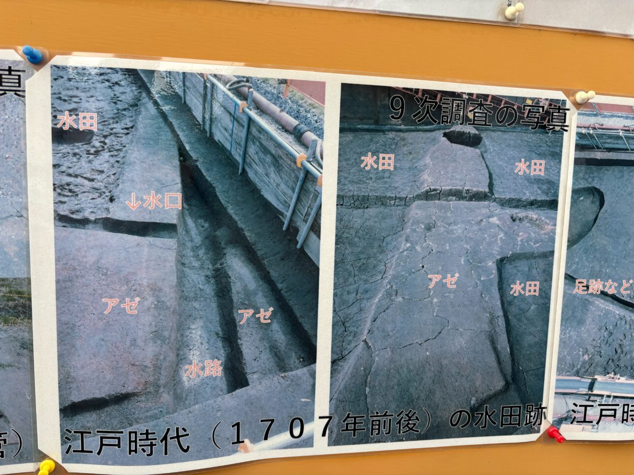 本村居村B遺跡現地説明会