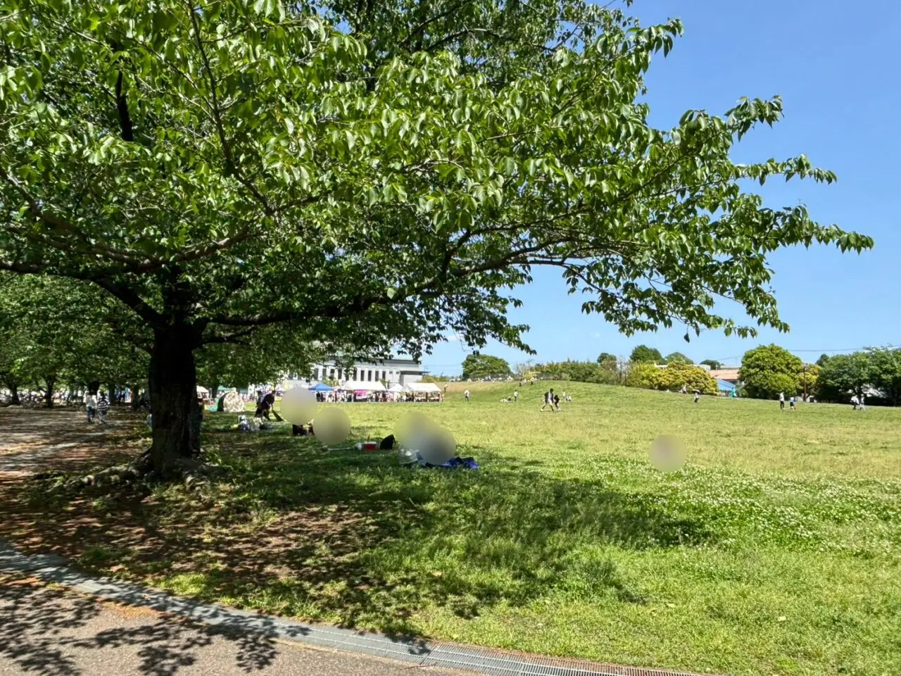 さむかわ中央公園