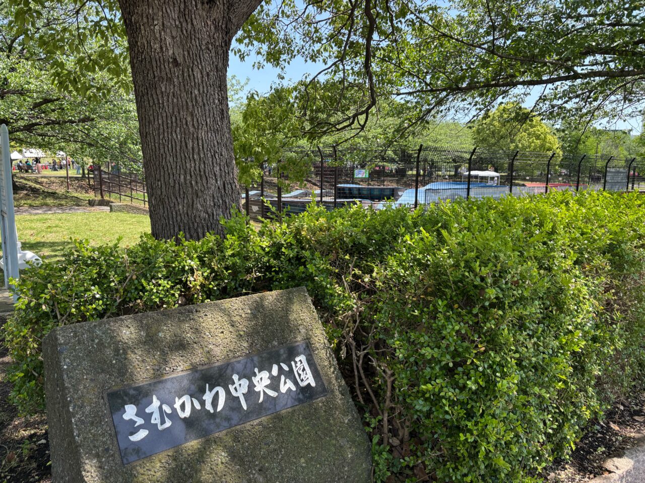 さむかわ中央公園