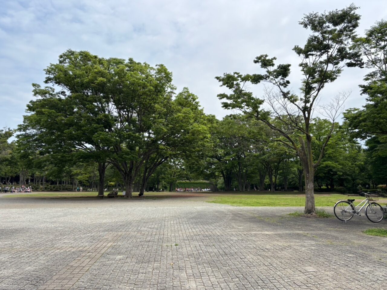 第一カッターきいろ公園（茅ヶ崎中央公園）