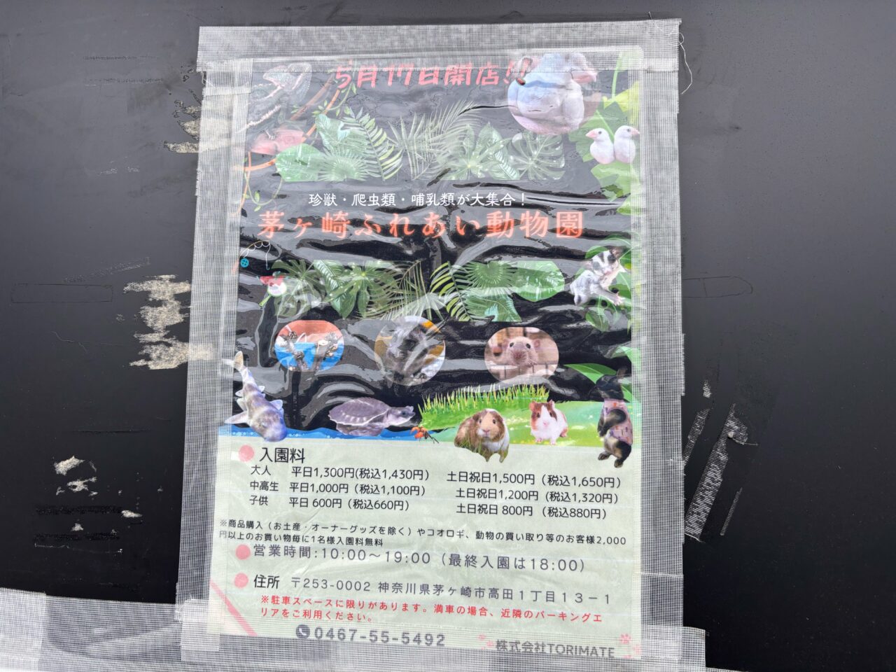 茅ヶ崎高田にオープンした「茅ヶ崎ふれあい動物園」