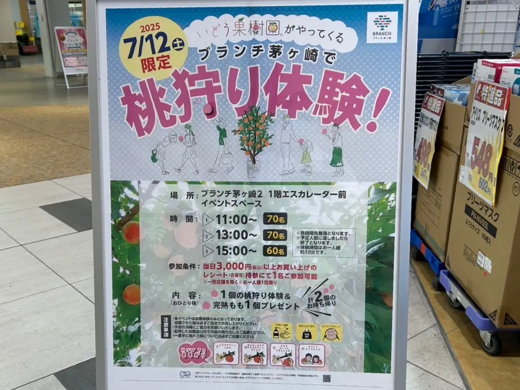 ブランチ茅ヶ崎で行われる桃狩り体験のお知らせ