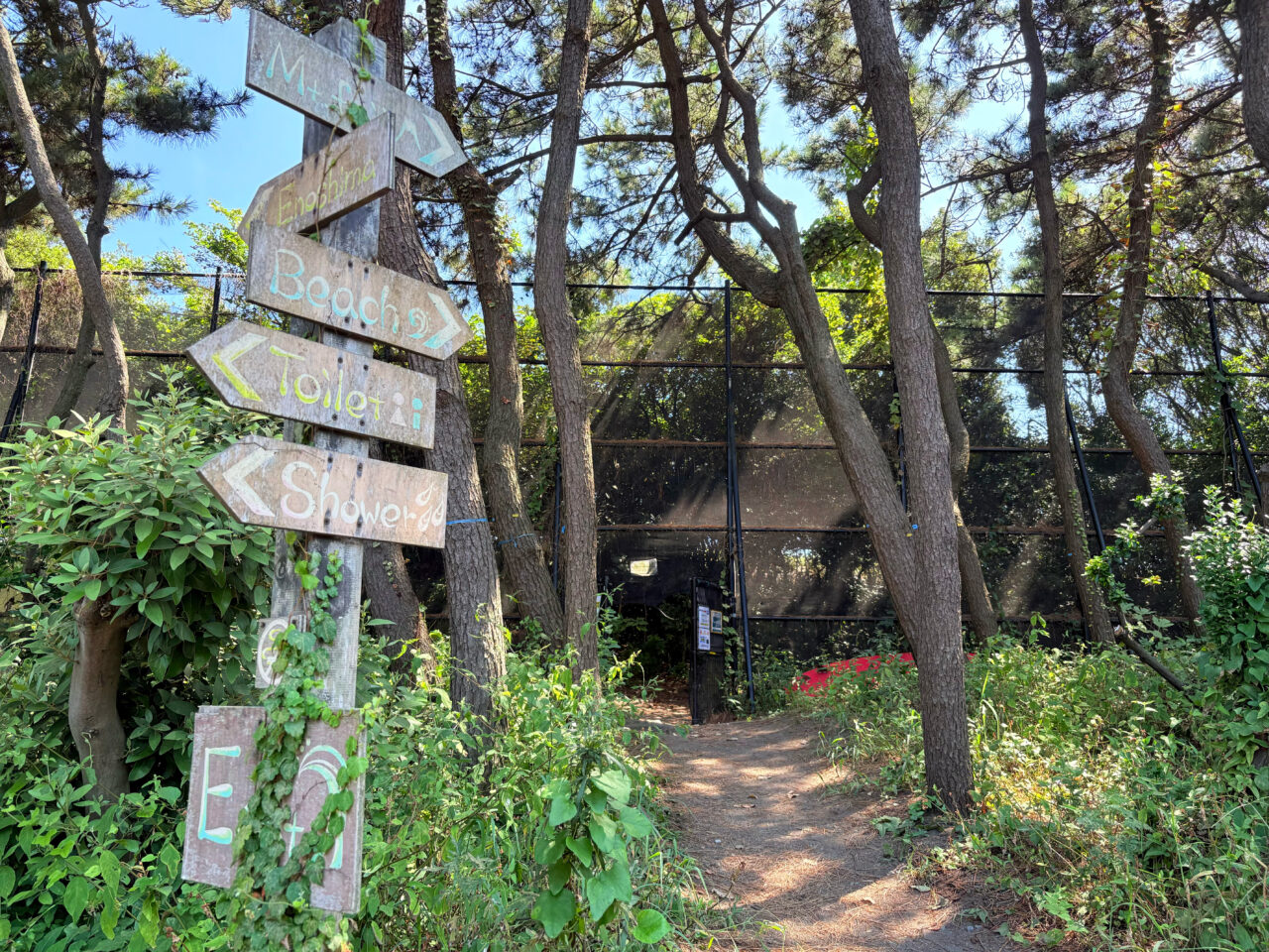 ちがさき柳島キャンプ場から海へ続く道