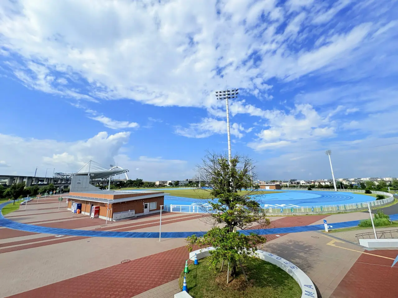 柳島スポーツ公園