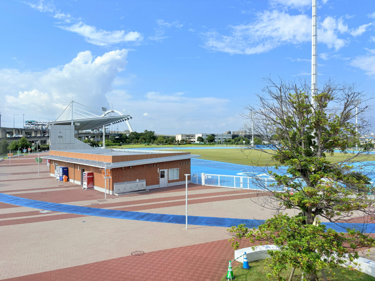 柳島スポーツ公園