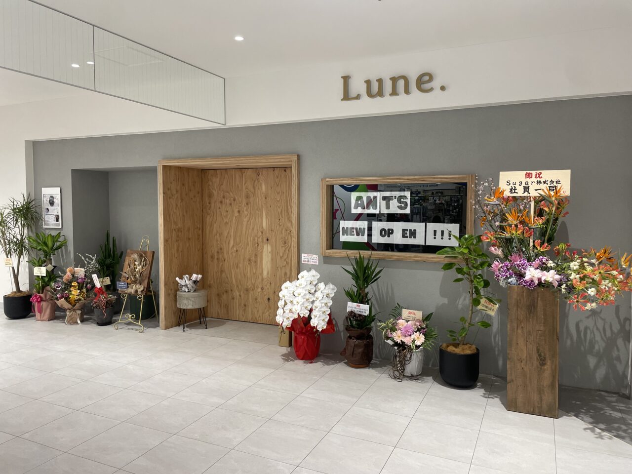 Lune. by ANT’S茅ヶ崎 BLIX 新規オープン 店舗