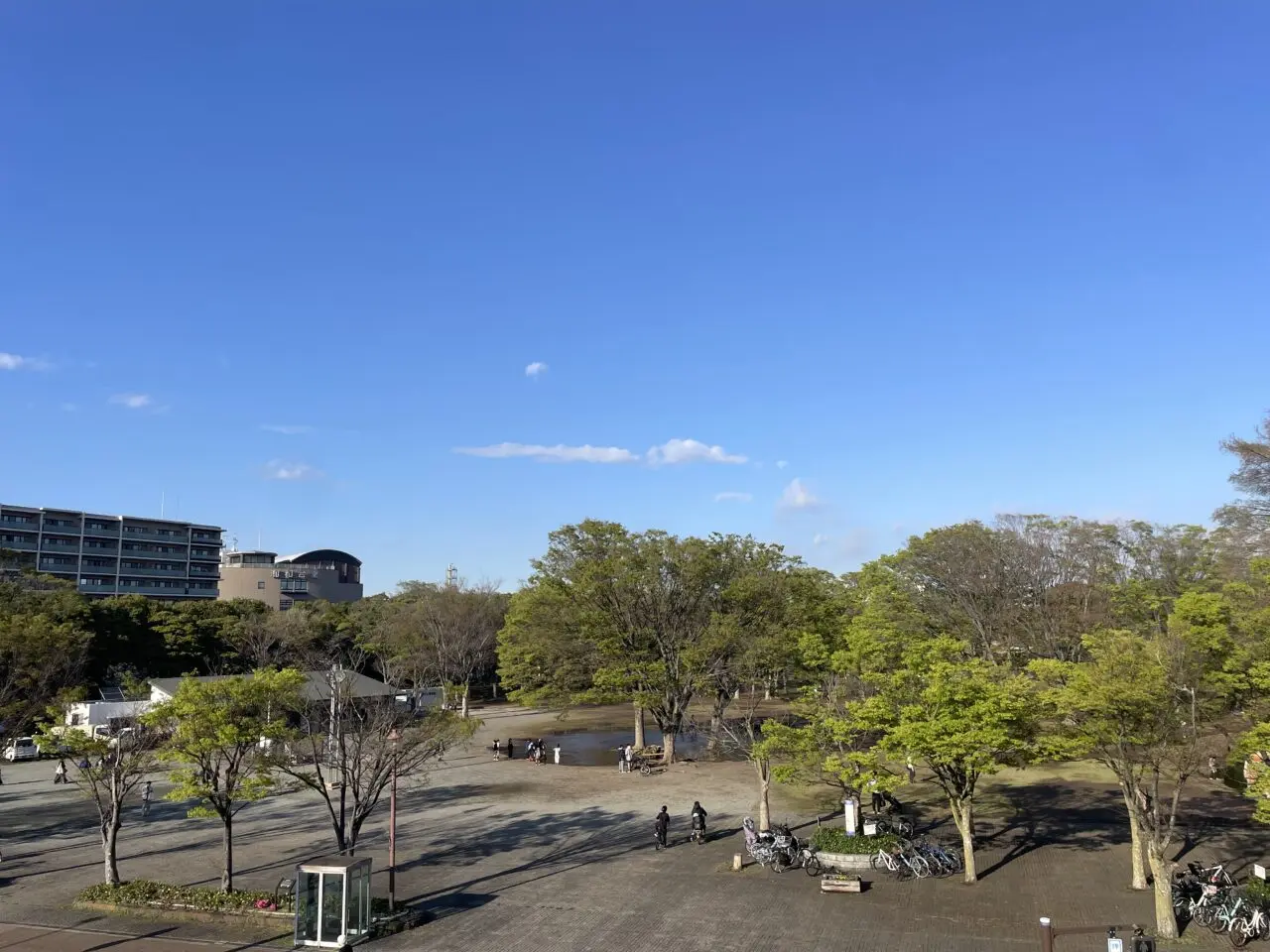  第一カッターきいろ公園 広場の様子