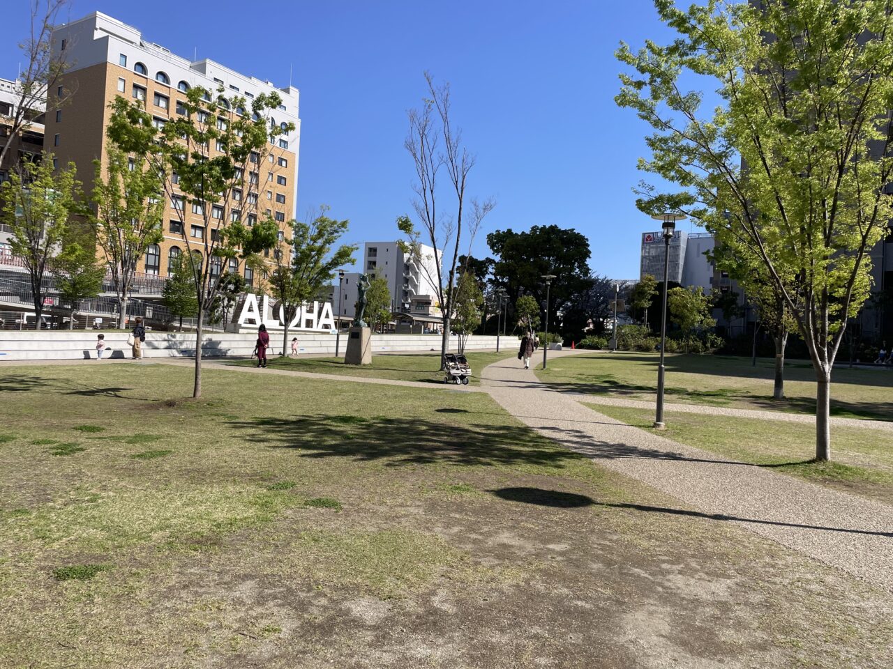 芝生エリアと周辺の様子