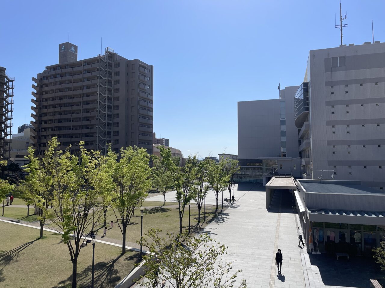 第3回ASOVIVAふわふわフェス会場となる茅ヶ崎市役所前広場の全景