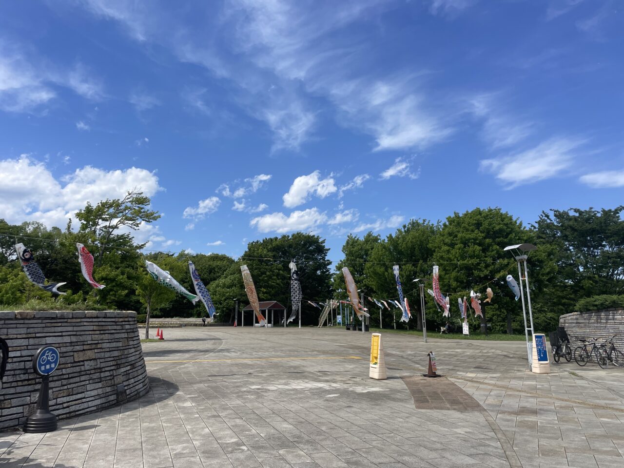 茅ヶ崎里山公園に掲揚されたこいのぼり