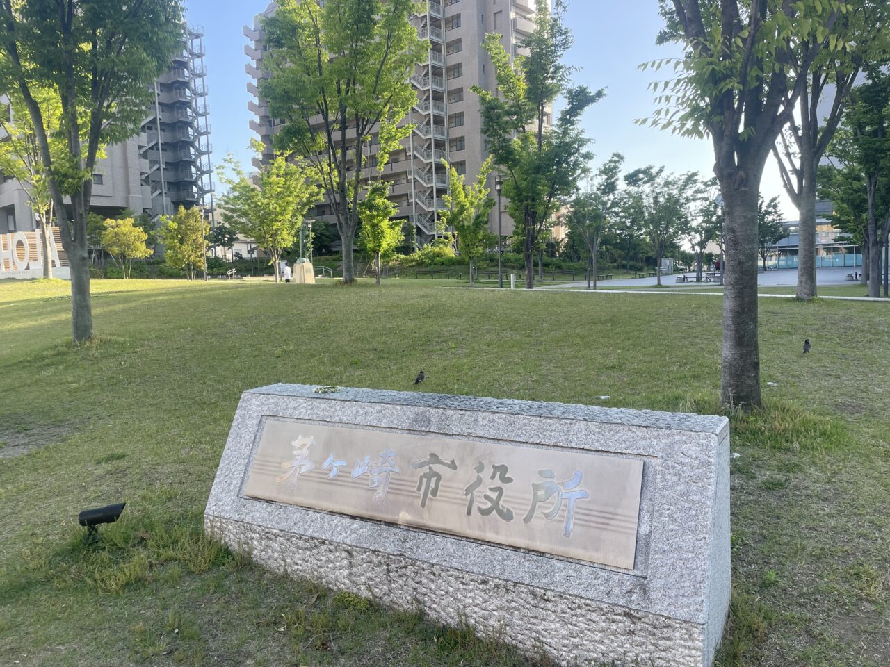 茅ヶ崎市役所前広場の開放的な芝生エリア