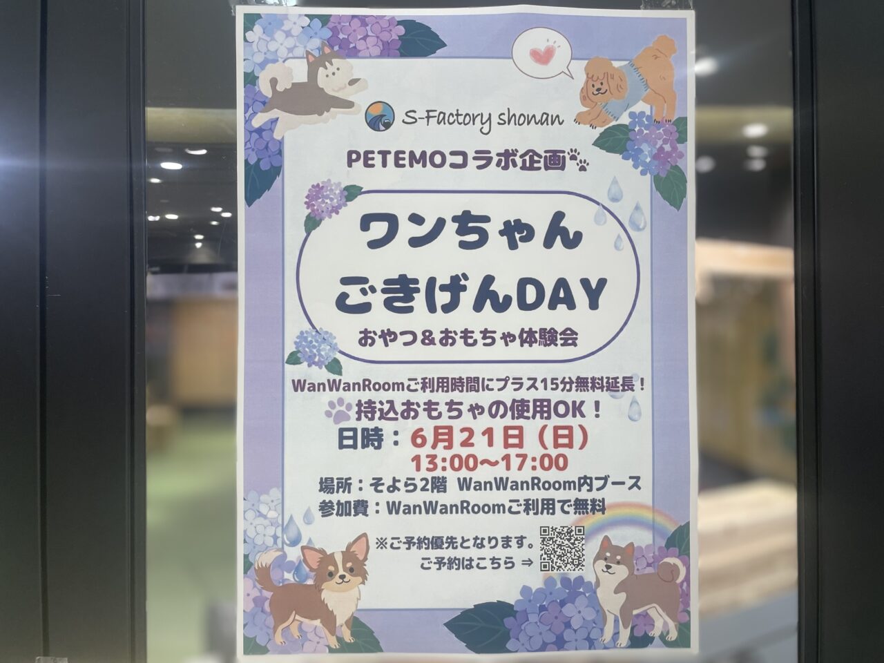 PETEMOコラボ企画ワンちゃんごきげんDAYの開催告知チラシ