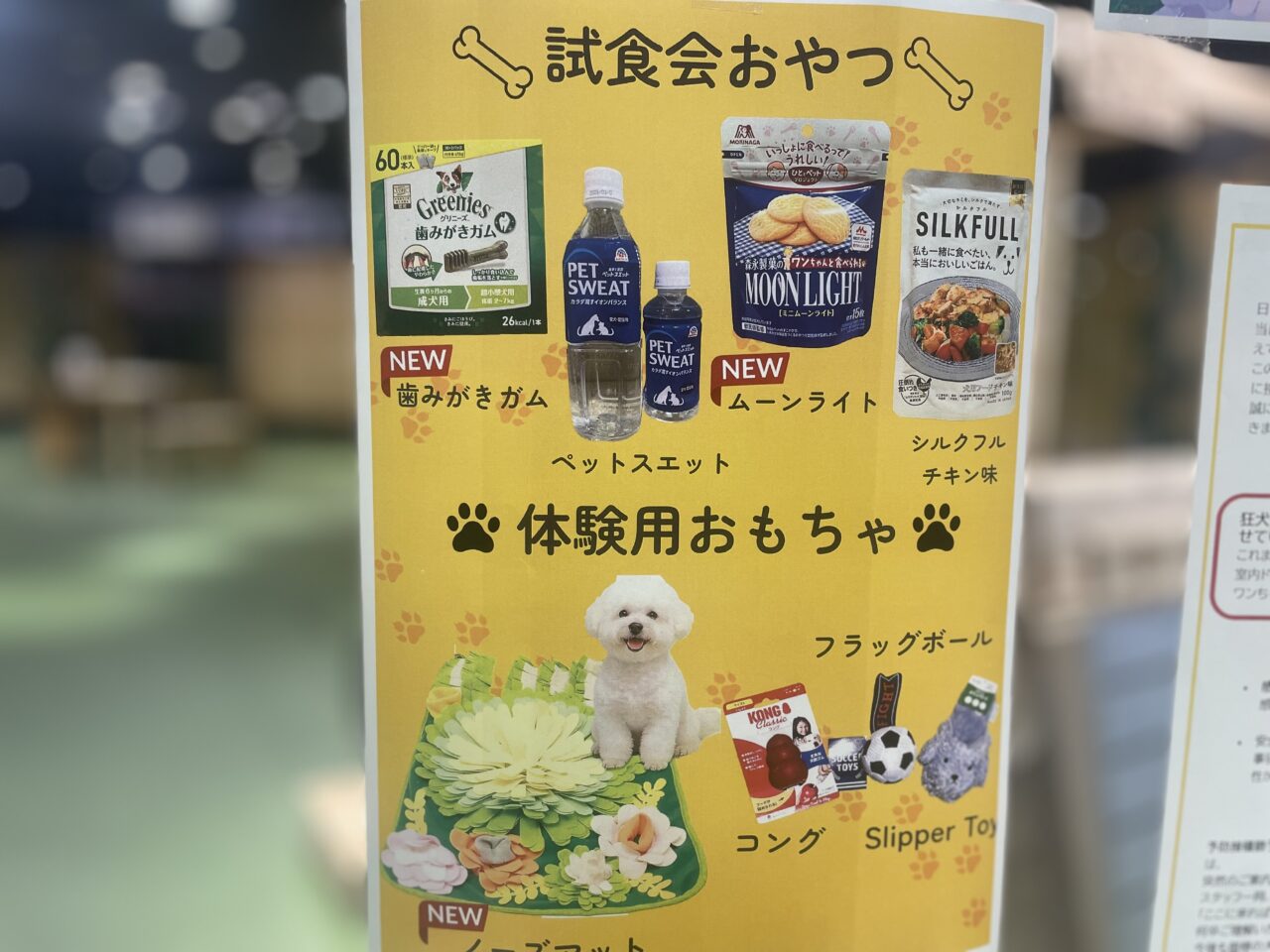 ワンちゃん向け試食会おやつと体験用おもちゃの案内チラシ