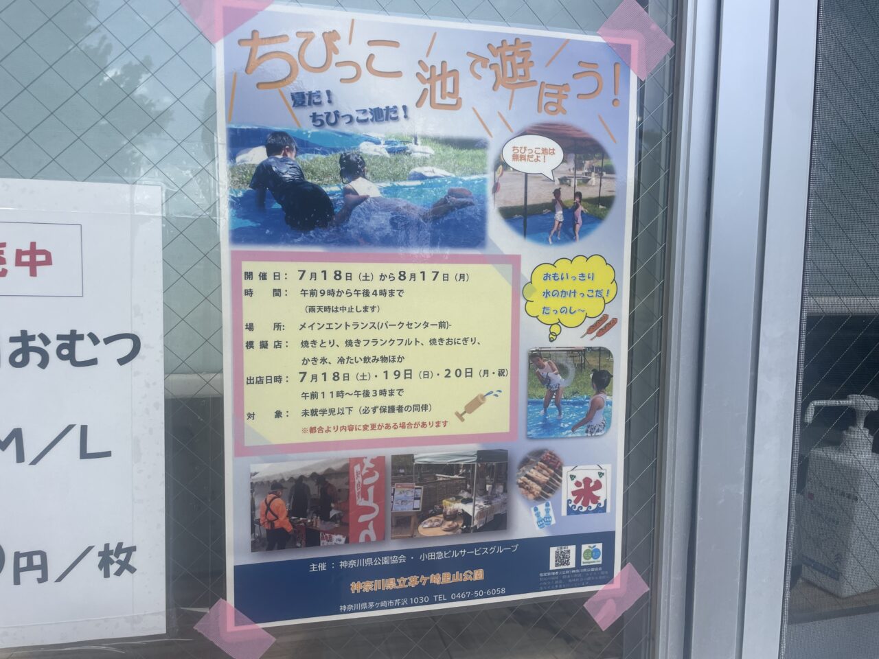茅ケ崎里山公園ちびっこ池2026開催ポスター