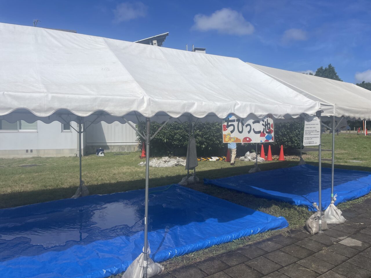 茅ヶ崎里山公園ちびっこ池会場の様子
