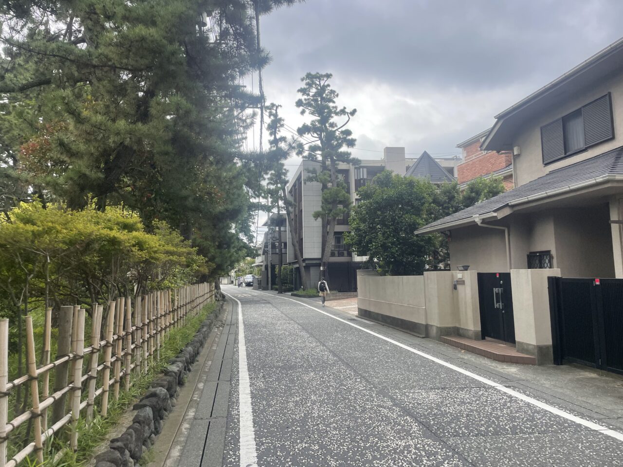 茅ヶ崎市美術館がある高砂緑地沿いの道路