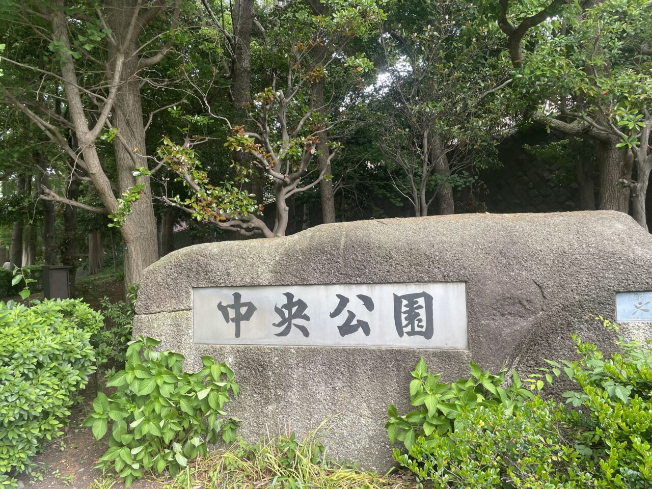 タイランドフェスティバル湘南2026の会場となる茅ヶ崎市中央公園